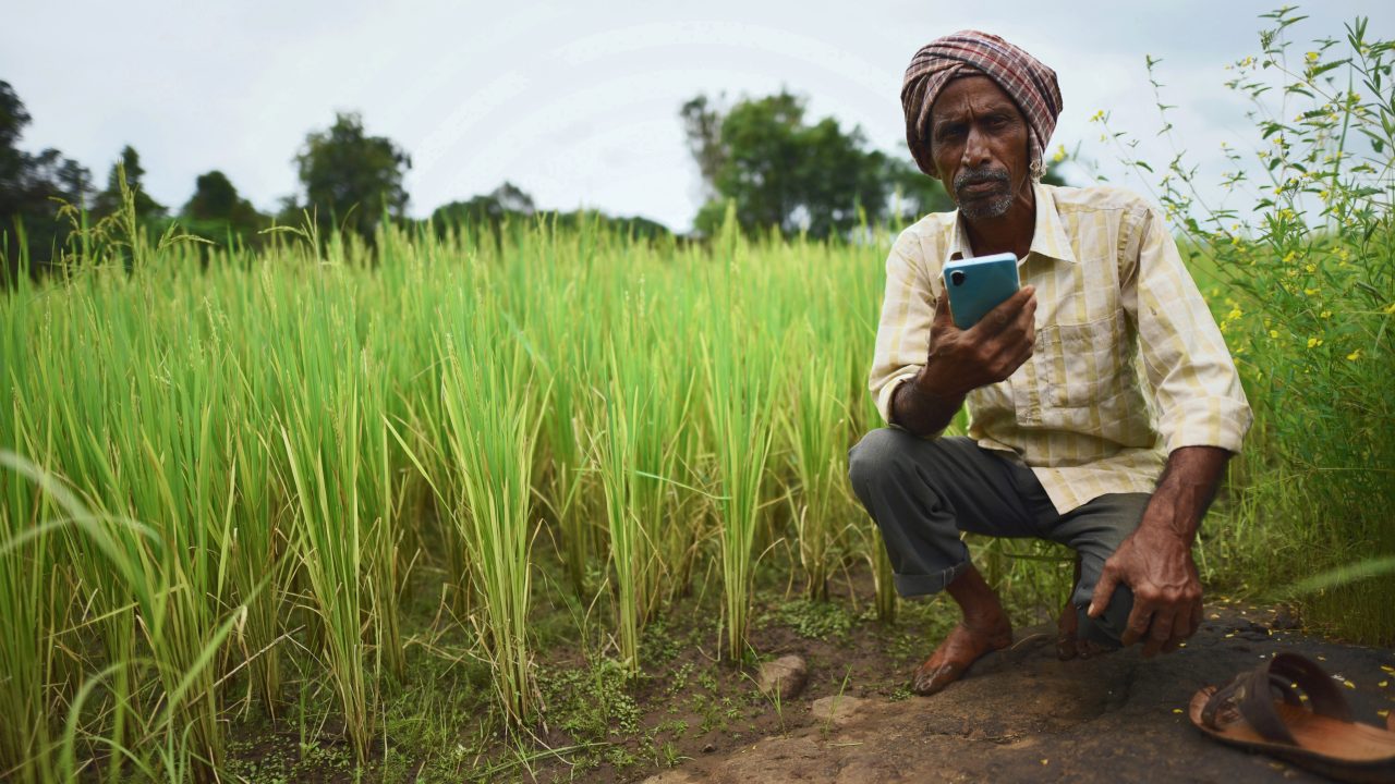 Farmer using smart phone in paddy fields