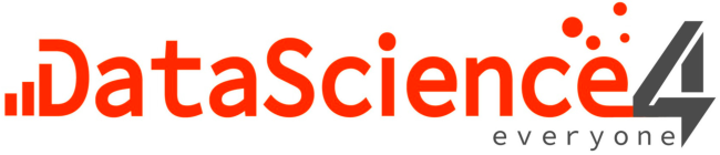 dsn4everyone_logo