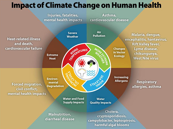 Impact of Climate Change on Human Health