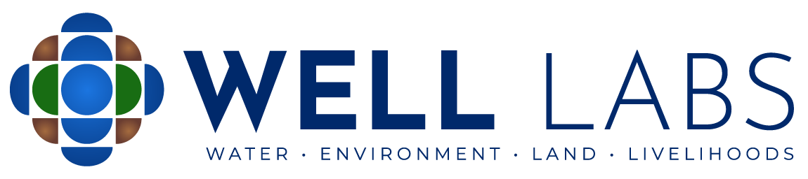 WELL-LABS_Logo