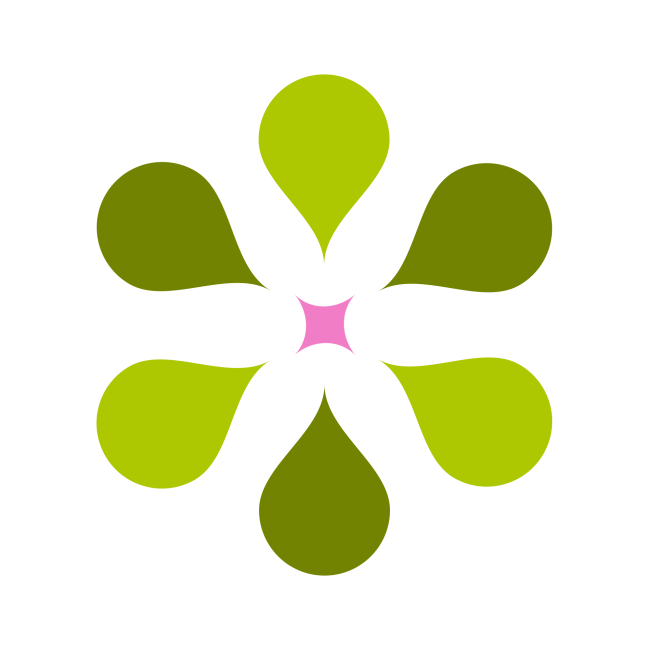 Accelerate Shape 2