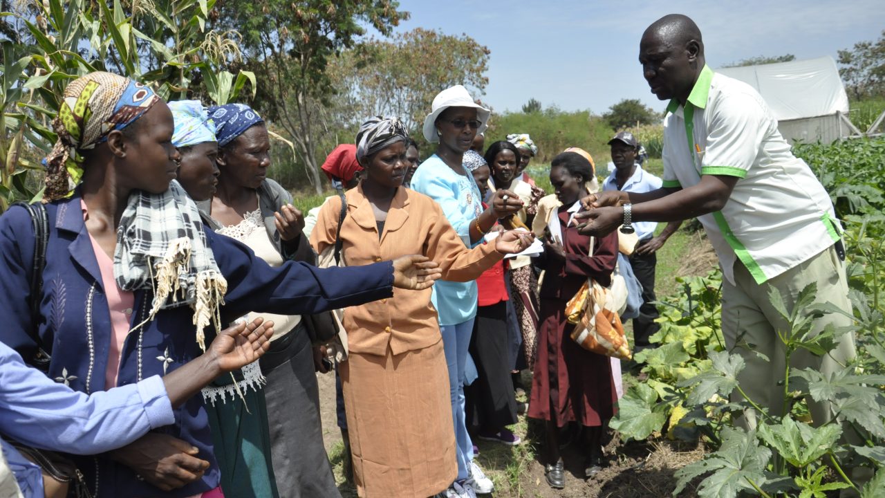 Training_women_farmers_on_climate_smart_innovations_in_Nyando,_Kenya_(9417196732)