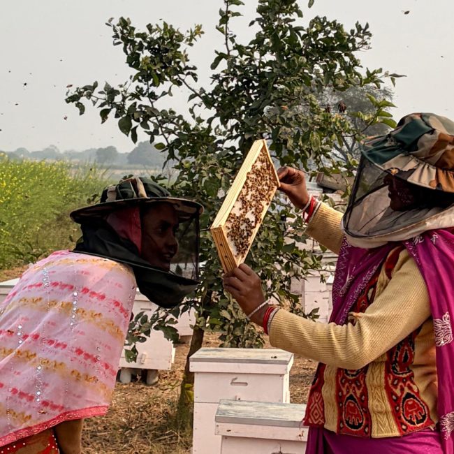 data_org-AI2AI-Impact-Report-hero