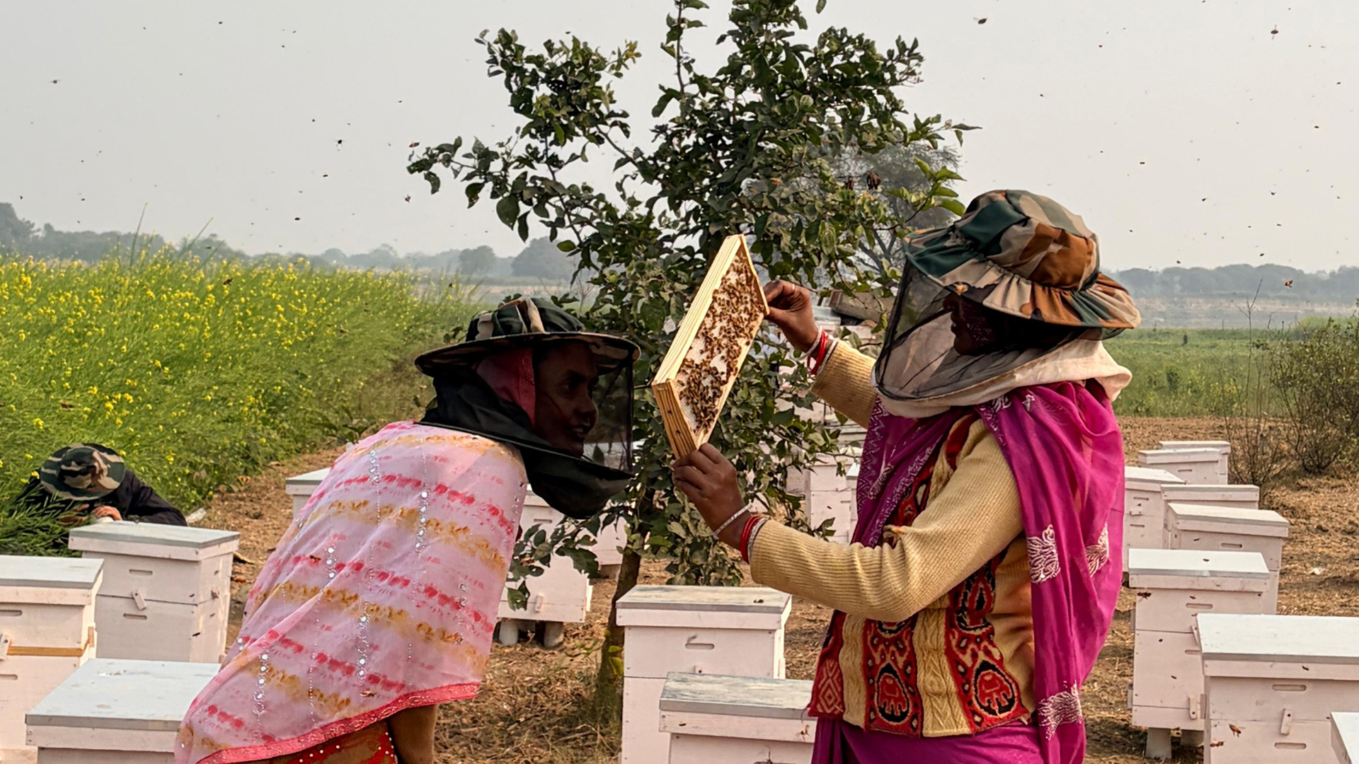 data_org-AI2AI-Impact-Report-hero